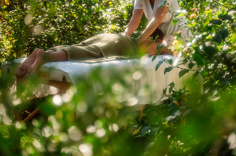 Download our Activities schedule